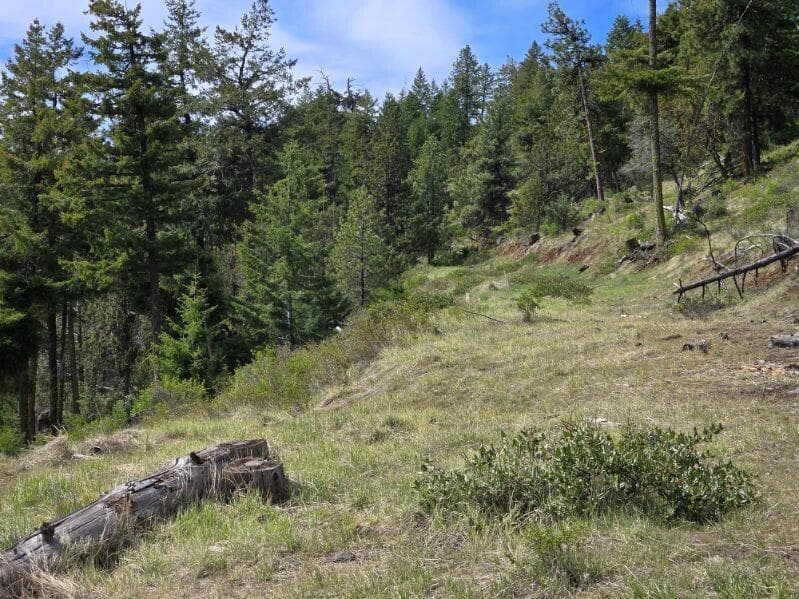 Photo of Marks Creek Road 5 of 12