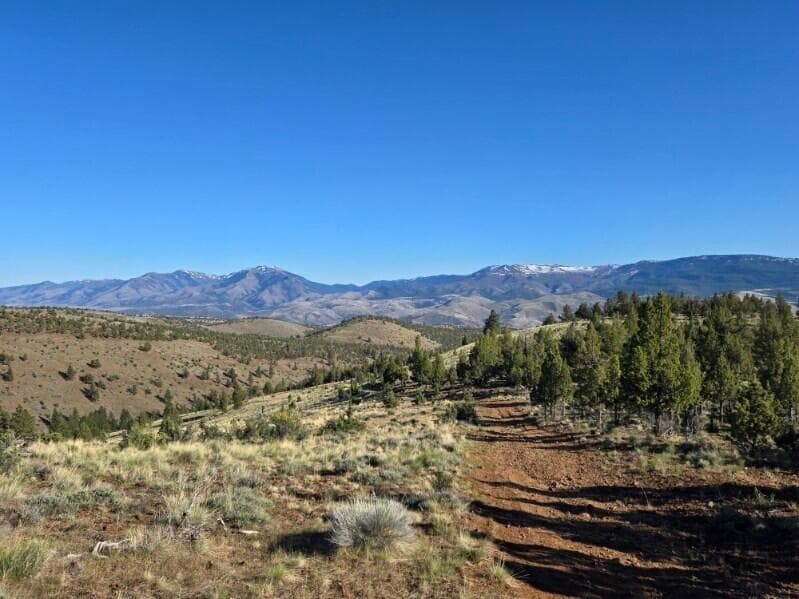 Photo of Marks Creek Road 4 of 12