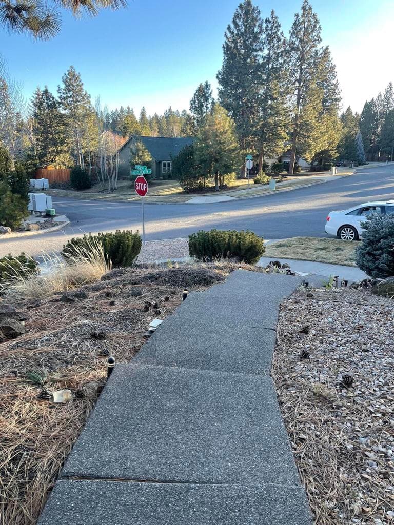 Photo of 61257 Bronze Meadow 4 of 47