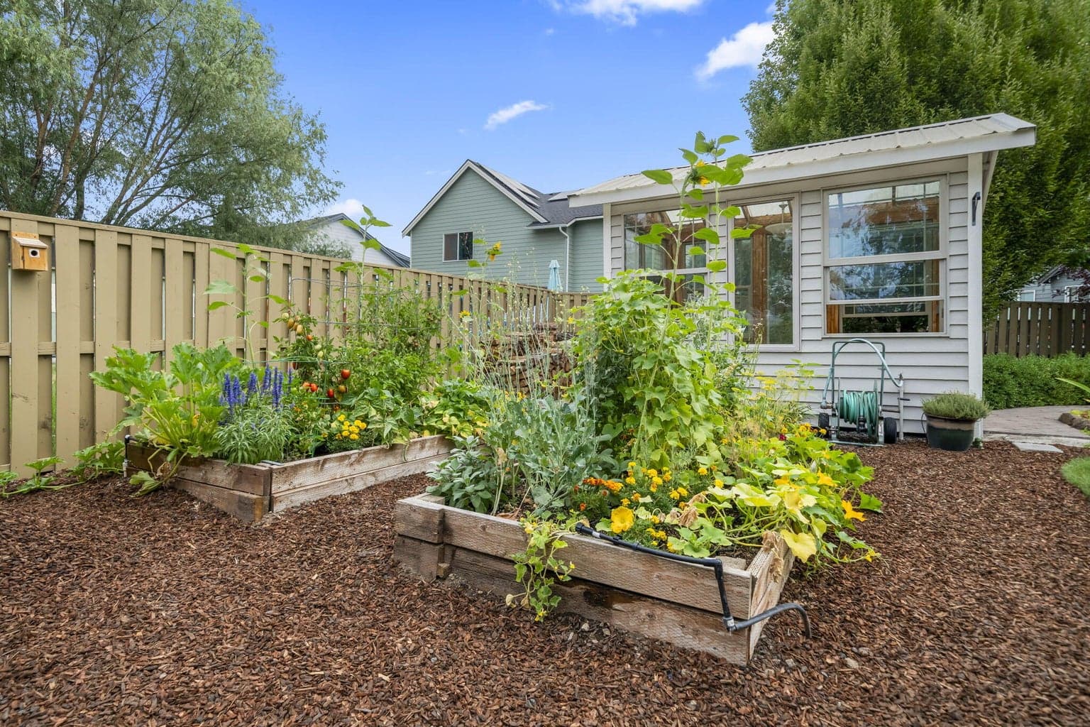 Raised garden beds for healthy trees while enjoying the yard!