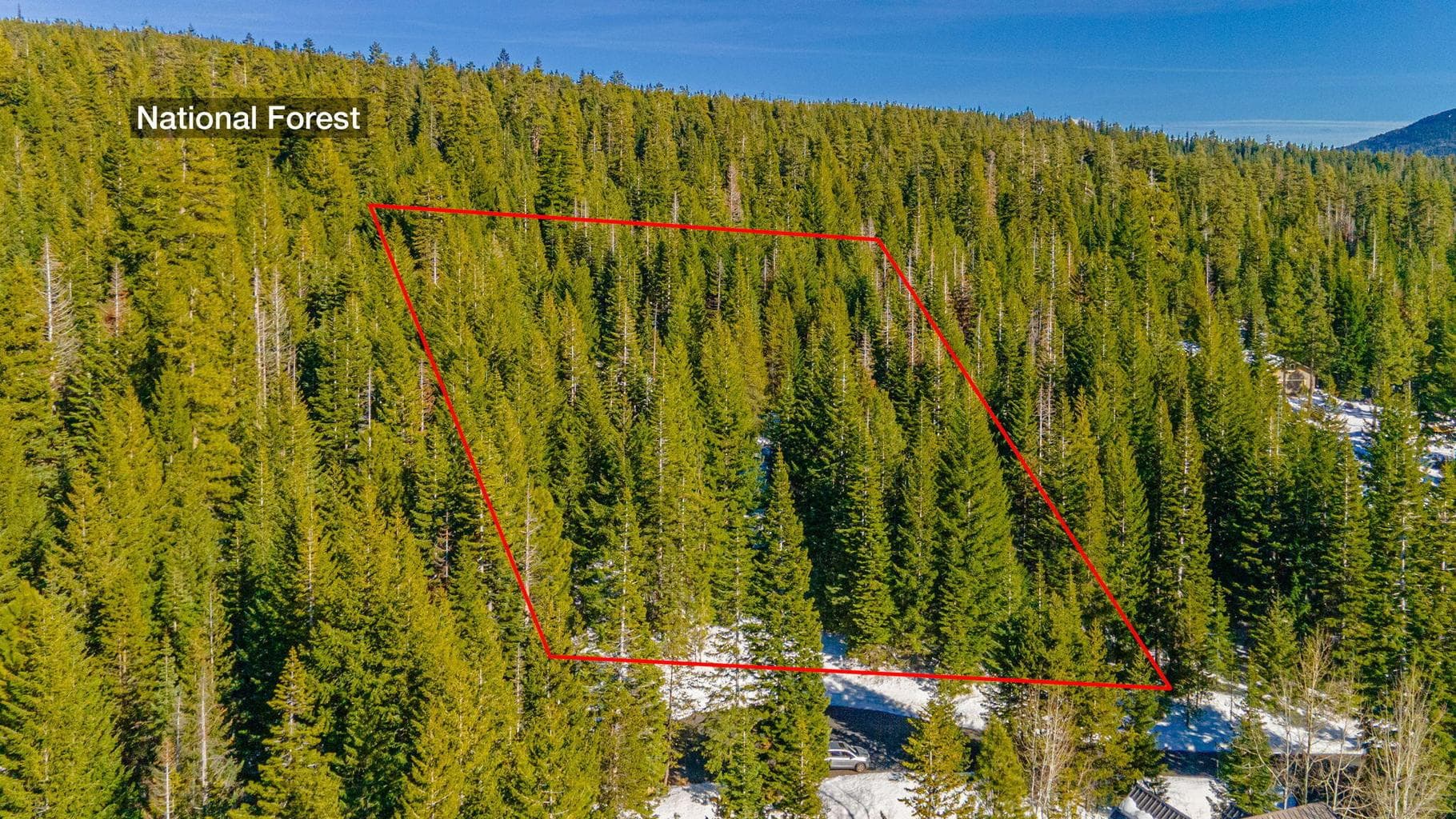 Photo of Royce Pine Road 5 of 23