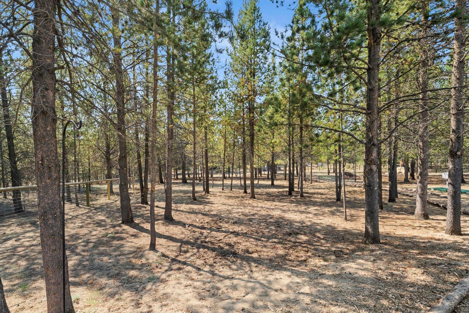 Photo of 16203 Lava Drive 44 of 57