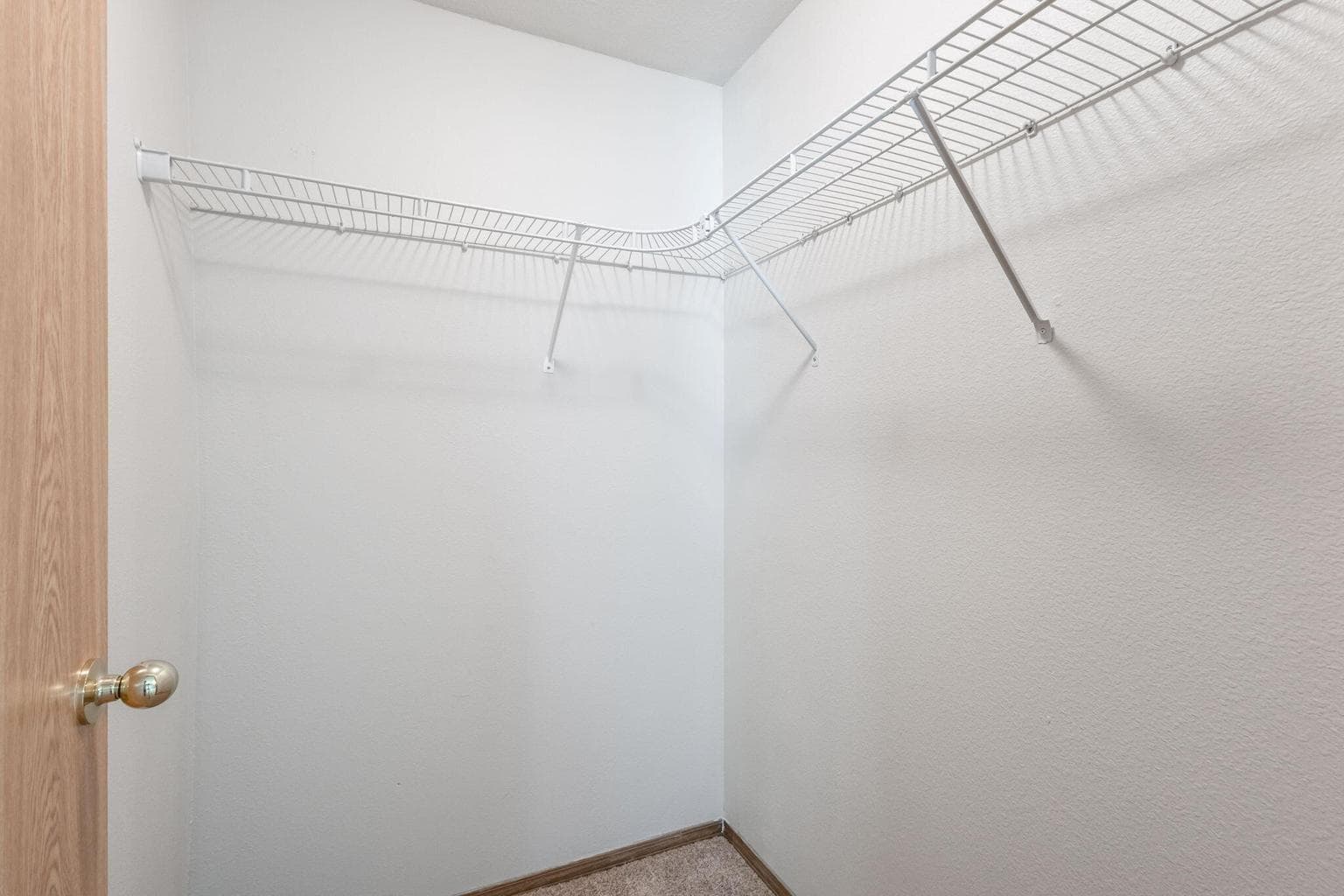 Primary bedroom closet