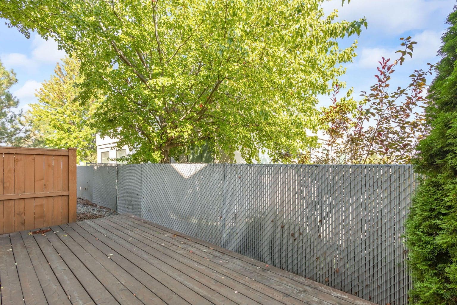 Back deck