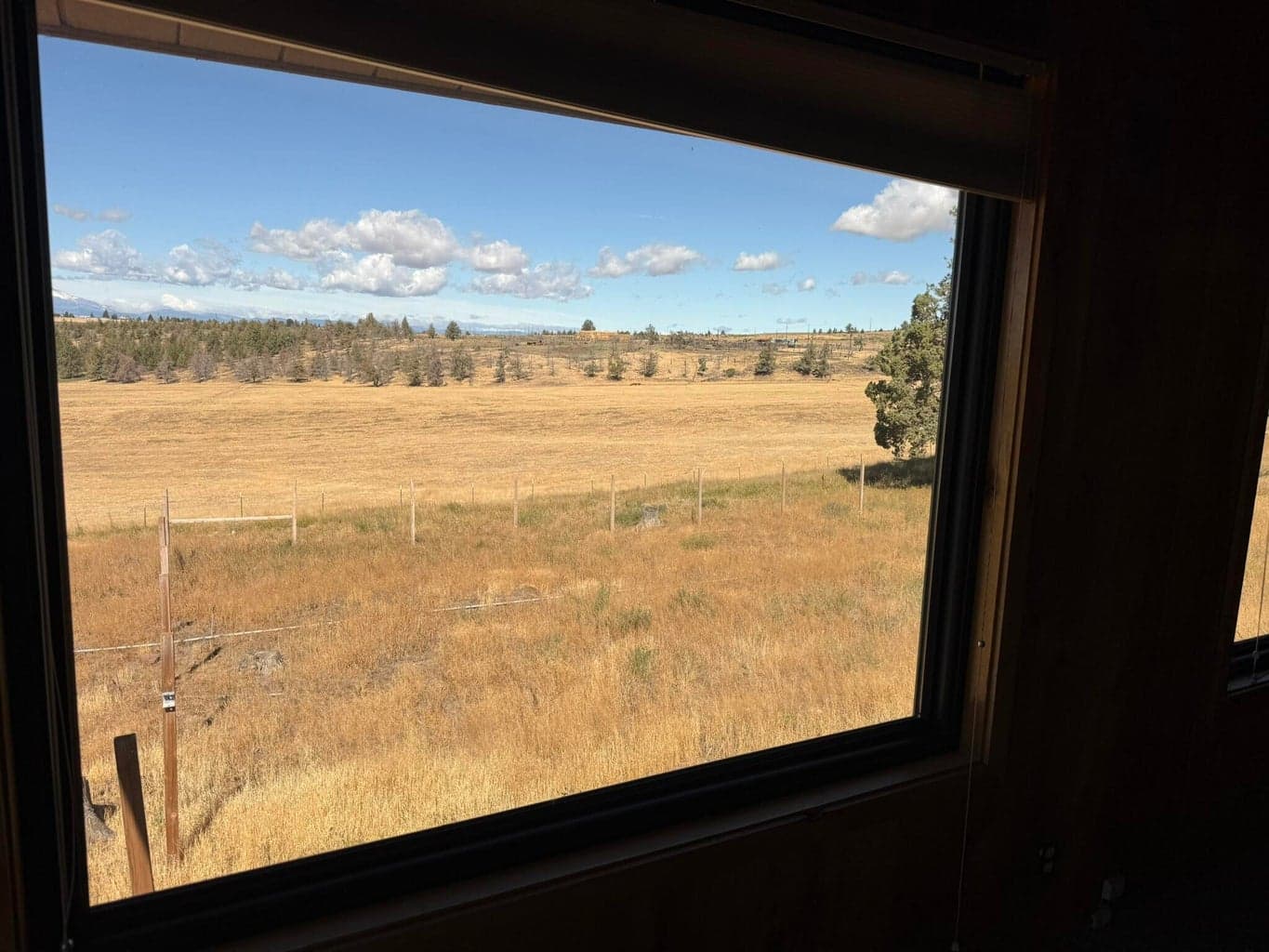 Mt Jefferson from Great Room window