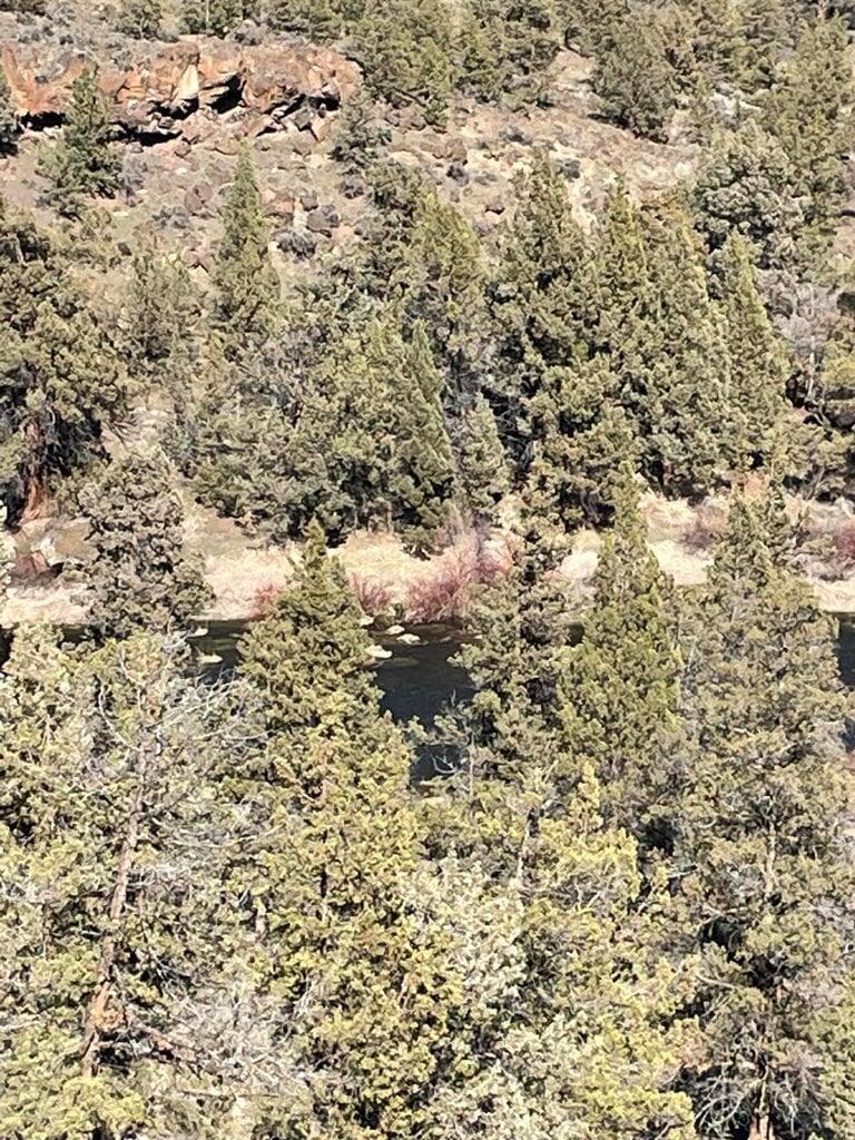 Photo of 1830 Redtail Hawk Drive 22 of 34