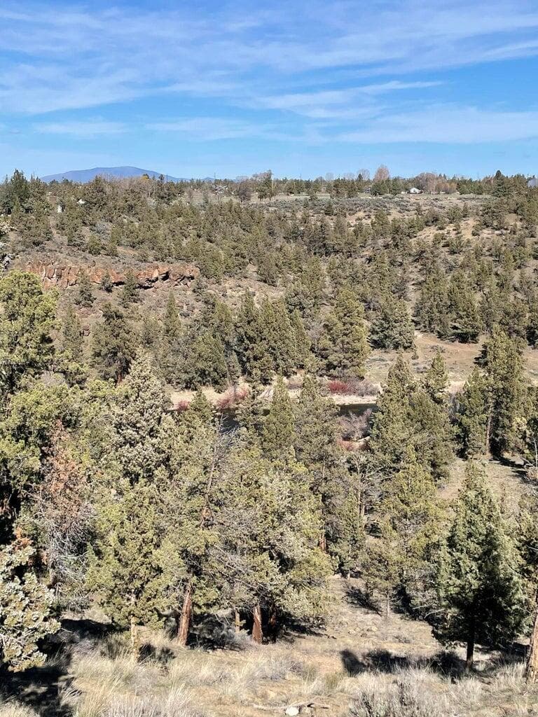 Photo of 1830 Redtail Hawk Drive 21 of 34