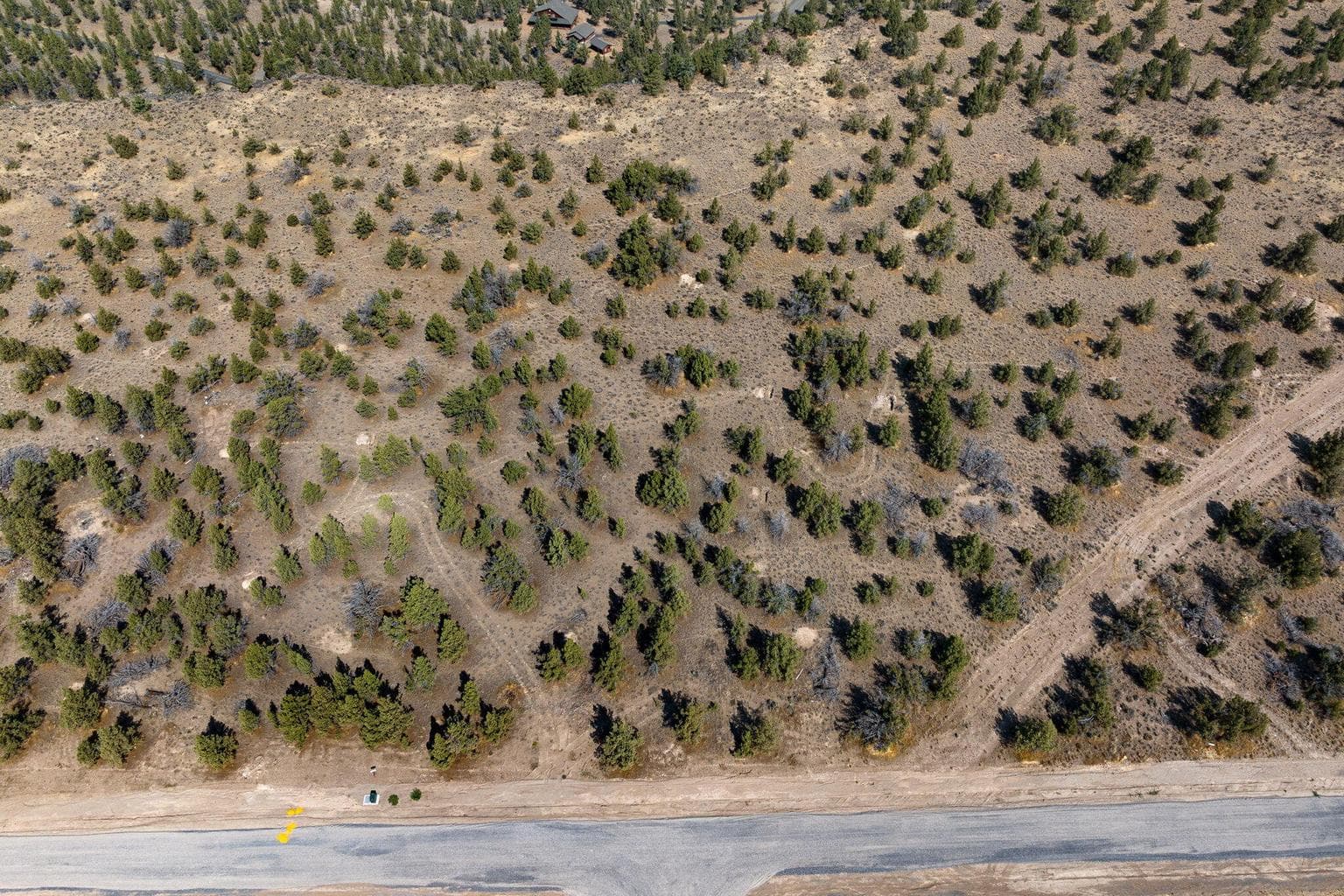 Photo of Pinecrest 5 of 26