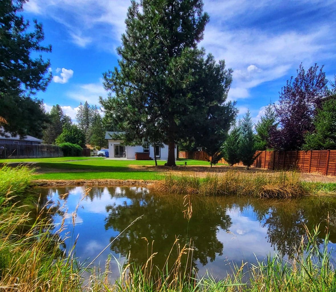 COID irrigation pond in the backyard