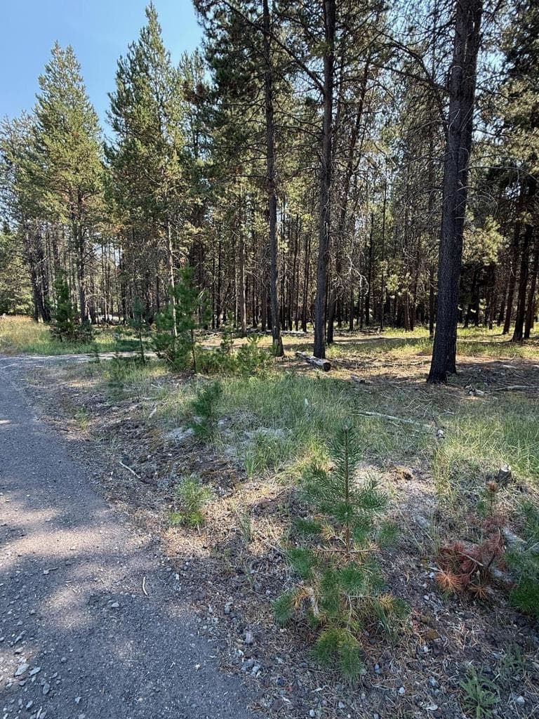 Photo of 16957 Fontana 5 of 5
