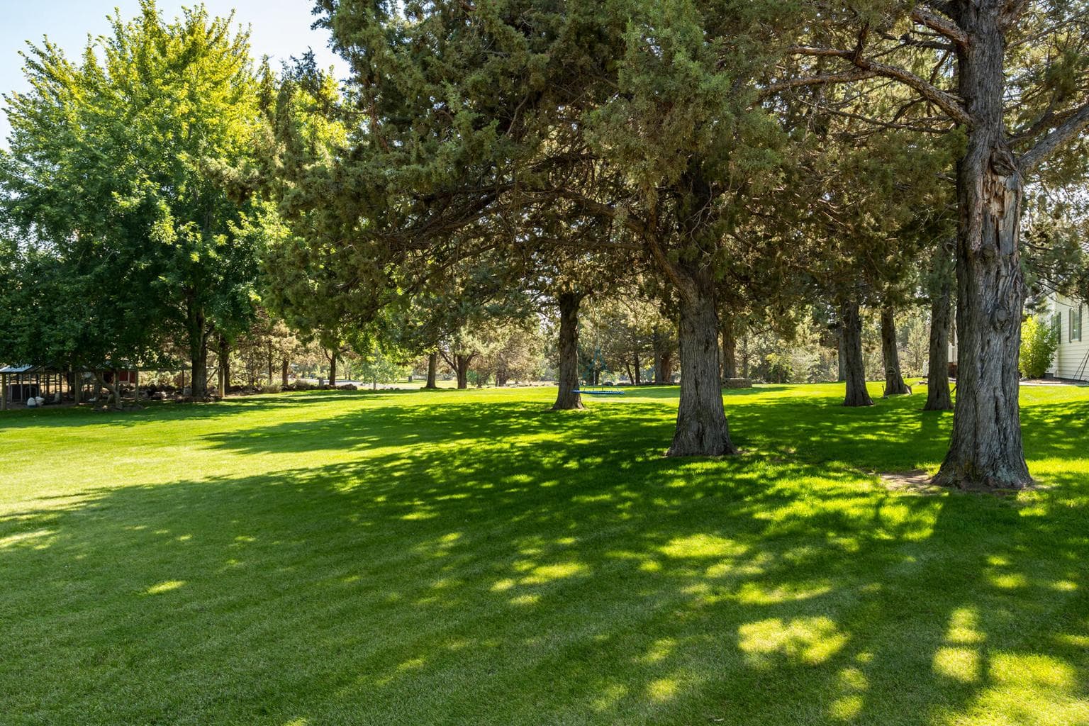 Photo of 21936 Bear Creek Road 55 of 75