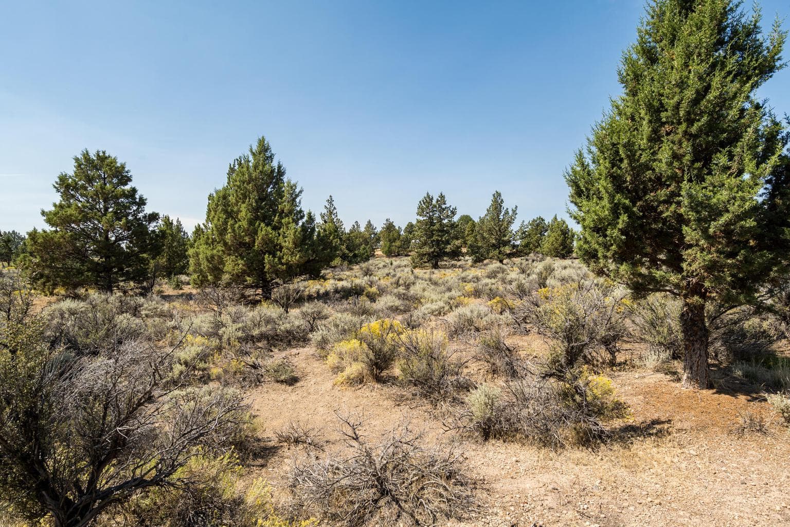 Photo of 21936 Bear Creek Road 59 of 75