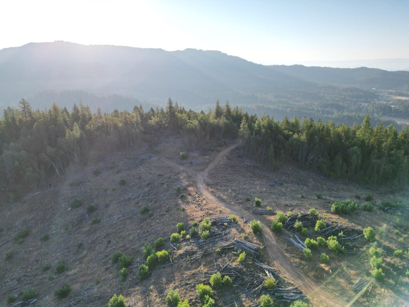 Photo of 0 Evans Creek 3 of 22