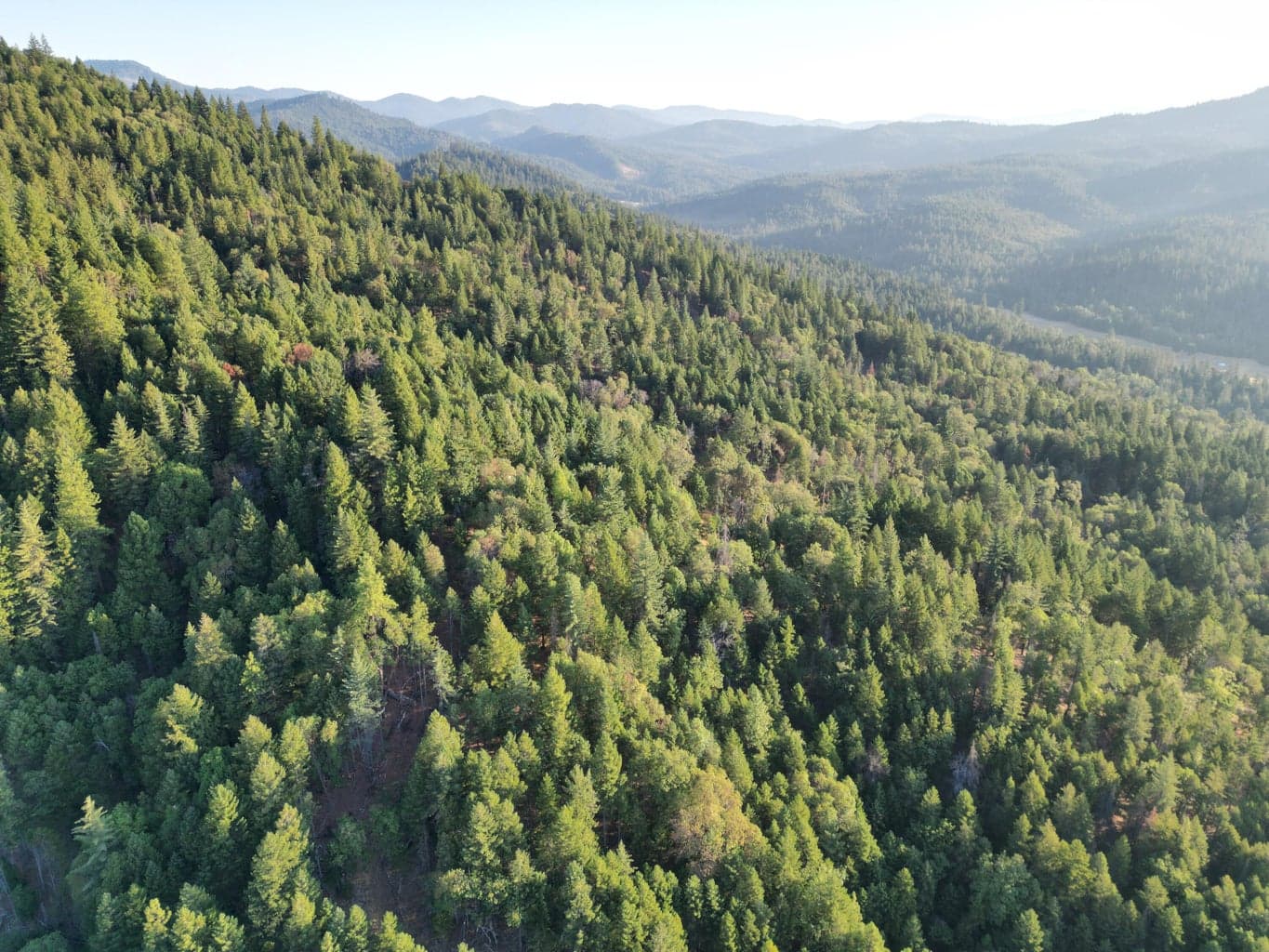 Photo of 0 Evans Creek 2 of 22