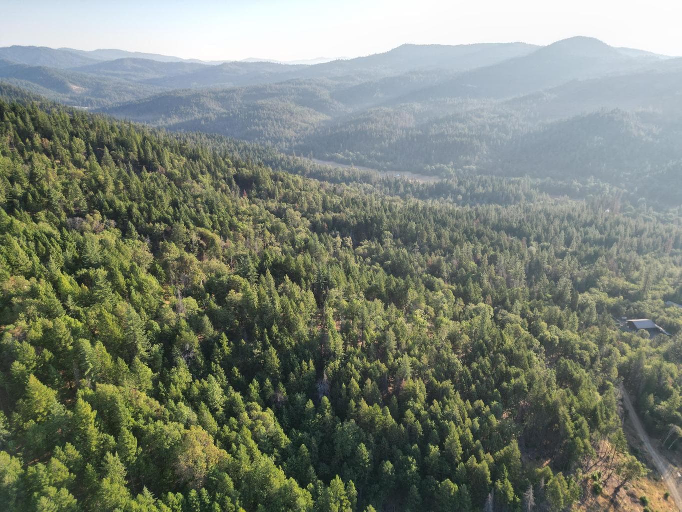 Photo of 0 Evans Creek 5 of 22