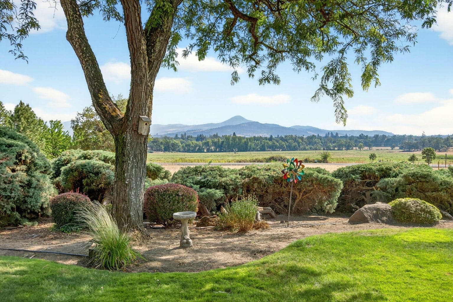 Southern Mountain Views