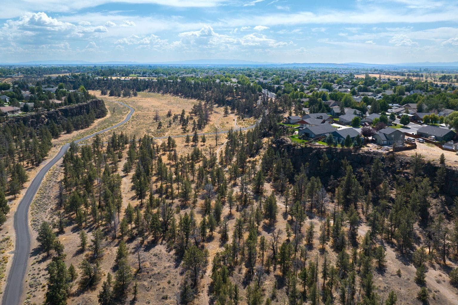 The Dry Canyon