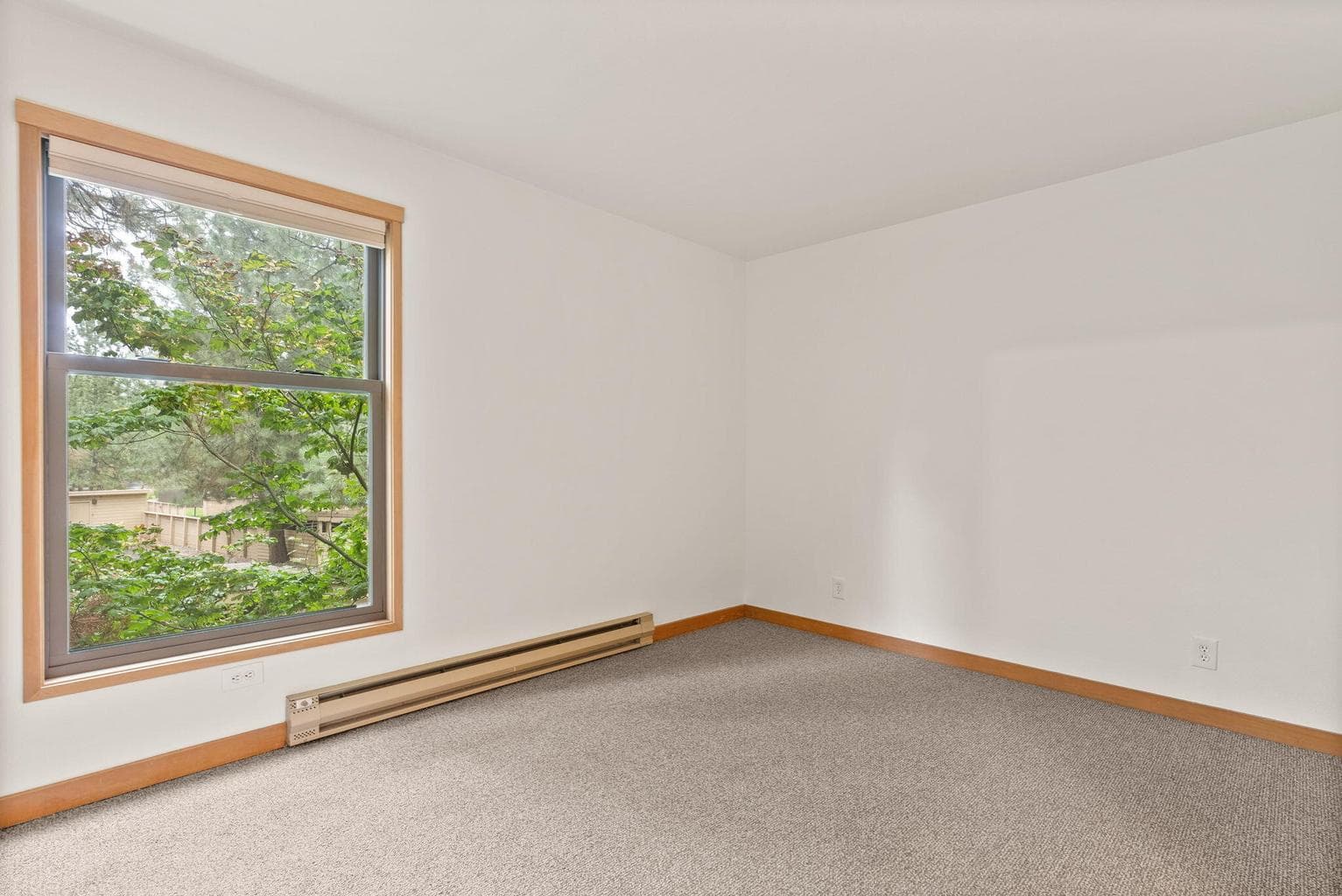 Main level bedroom
