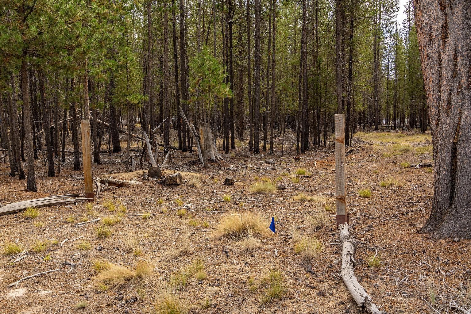 Photo of TL 699 Alderwood 4 of 17