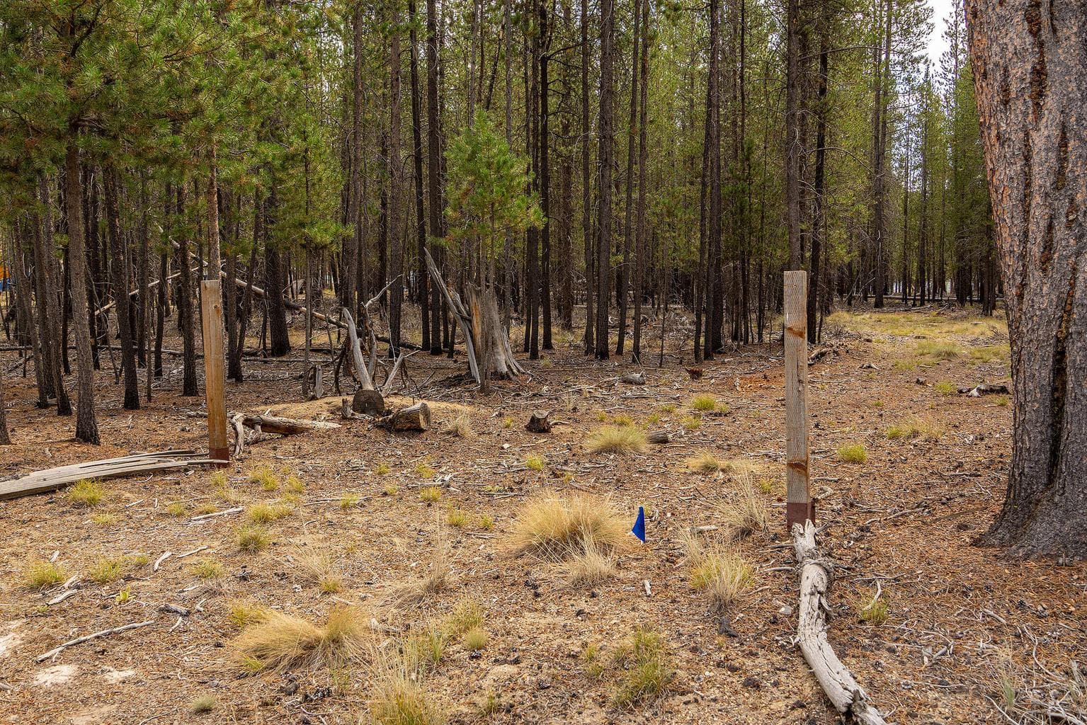 Photo of TL 699 Alderwood 5 of 17