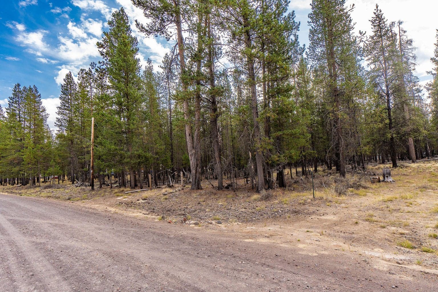 Photo of TL 699 Alderwood 6 of 17