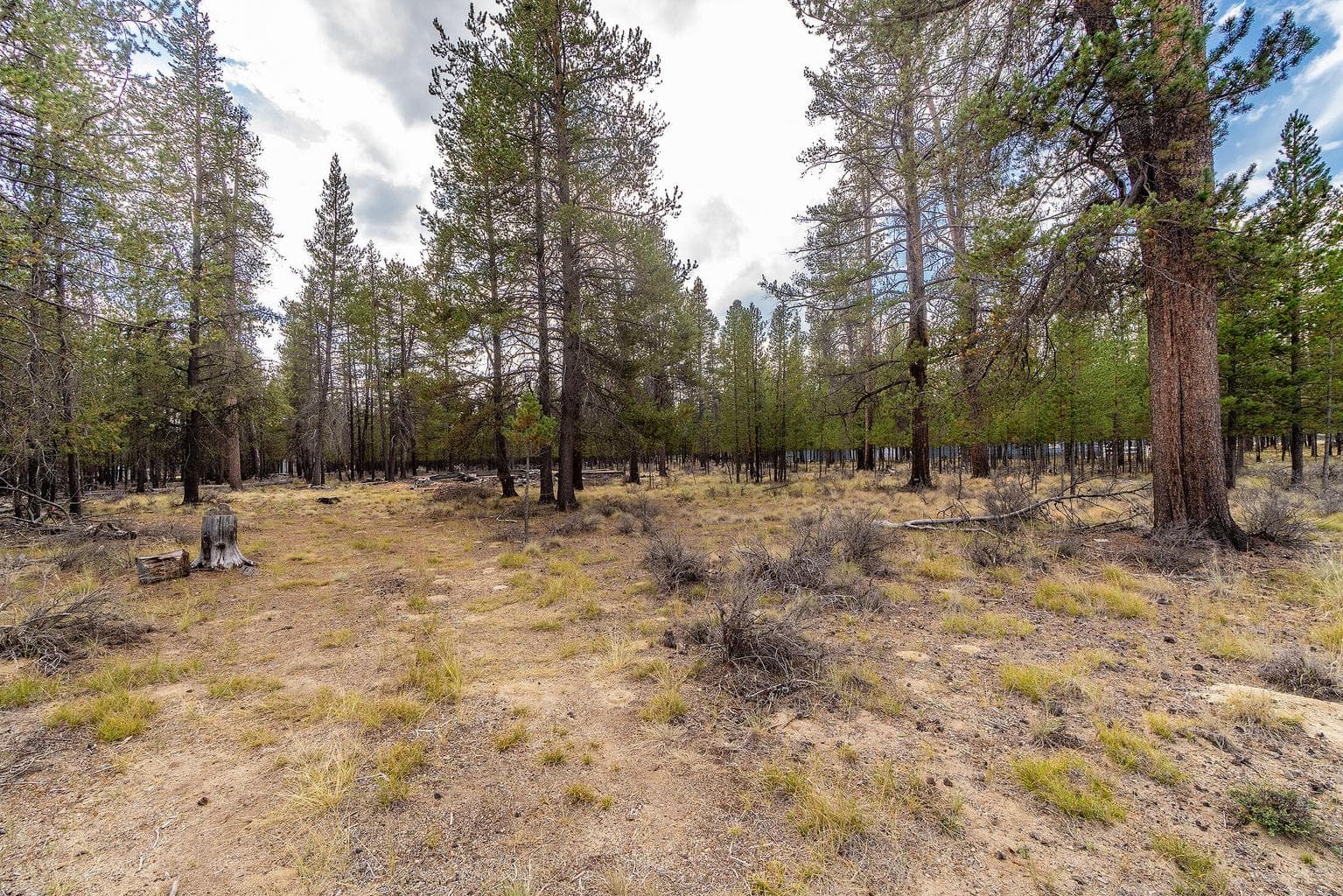 Photo of TL 699 Alderwood 8 of 17
