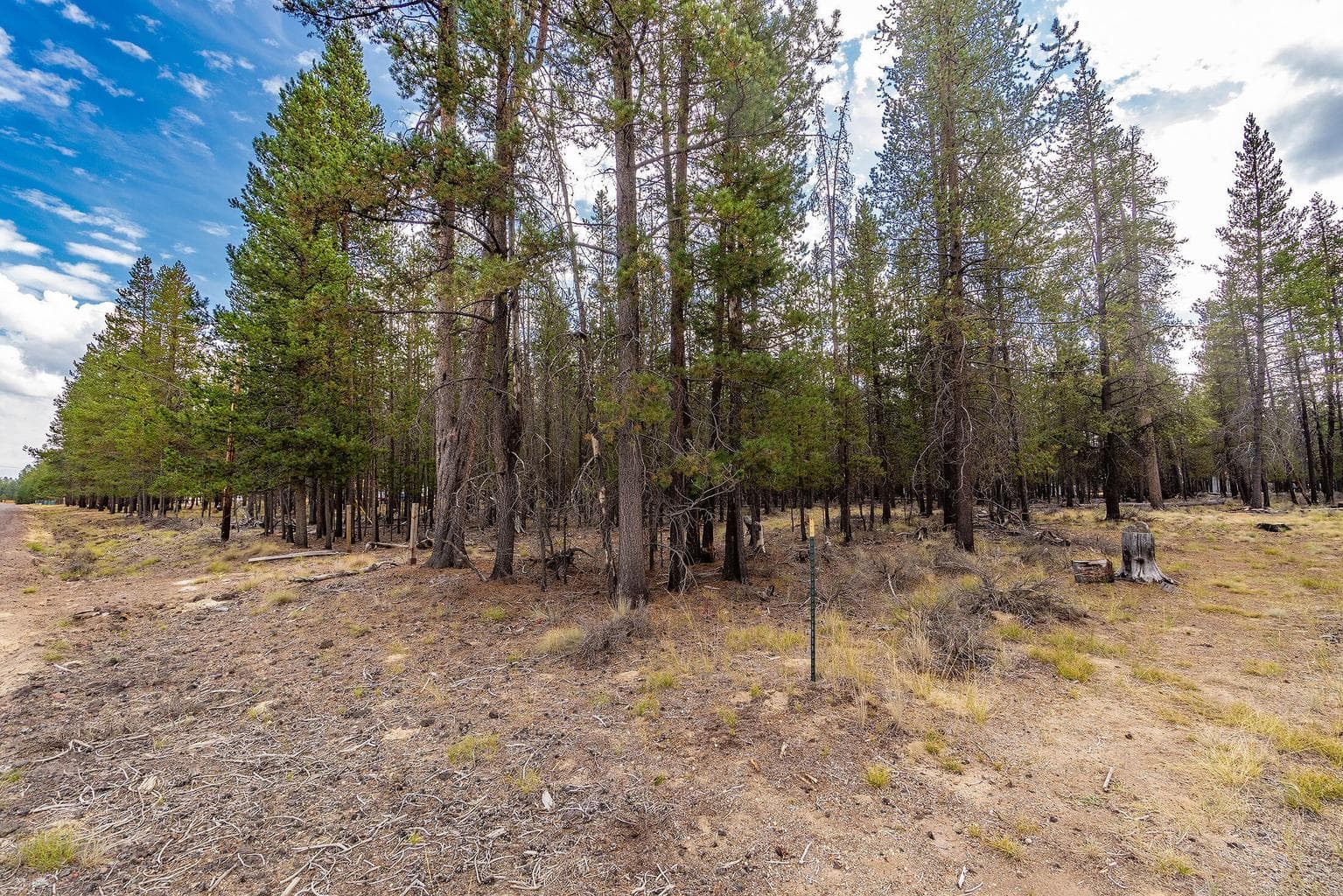 Photo of TL 699 Alderwood 9 of 17