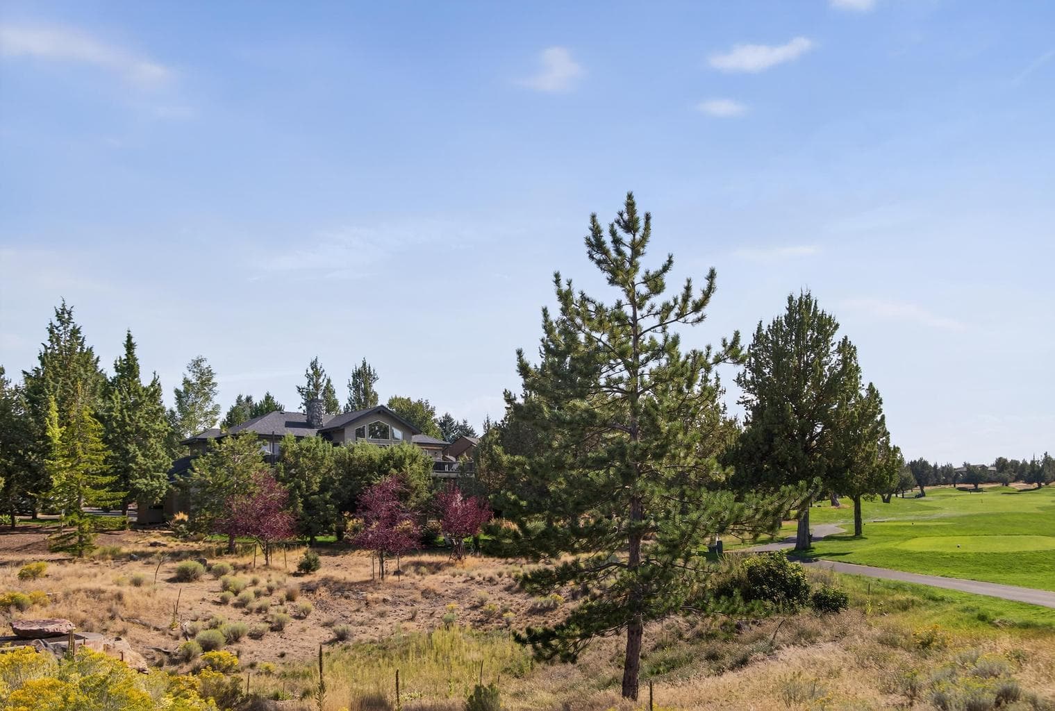 Photo of 717 Golden Pheasant Drive 45 of 69