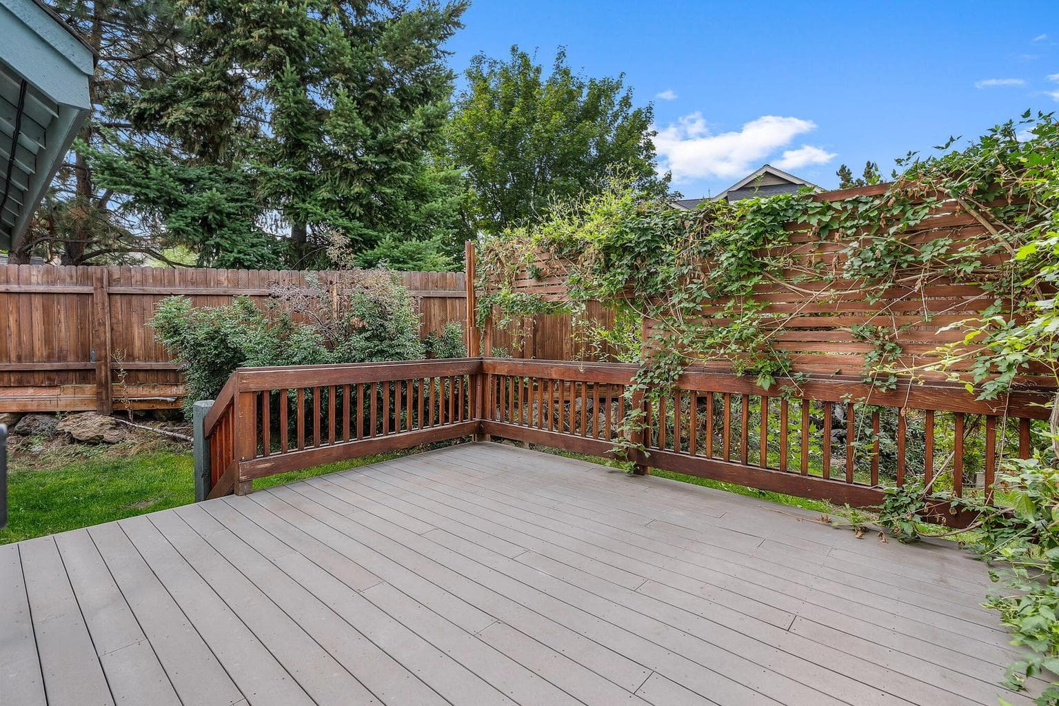 privacy on your back deck