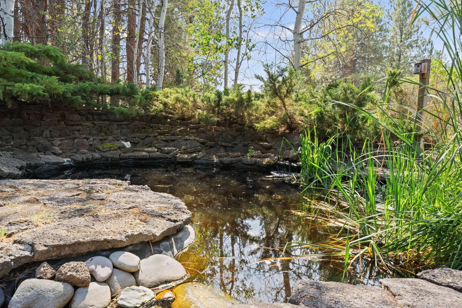 Photo of 20409 Pine Vista Drive 45 of 57