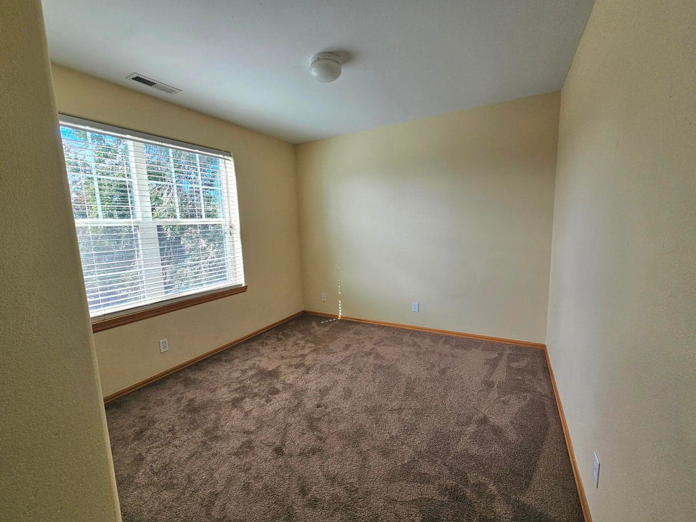 Photo of 3331 SW Juniper Avenue 14 of 20