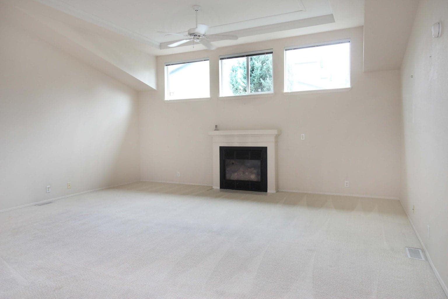 Living Room with Gas Fireplace - light and bright!