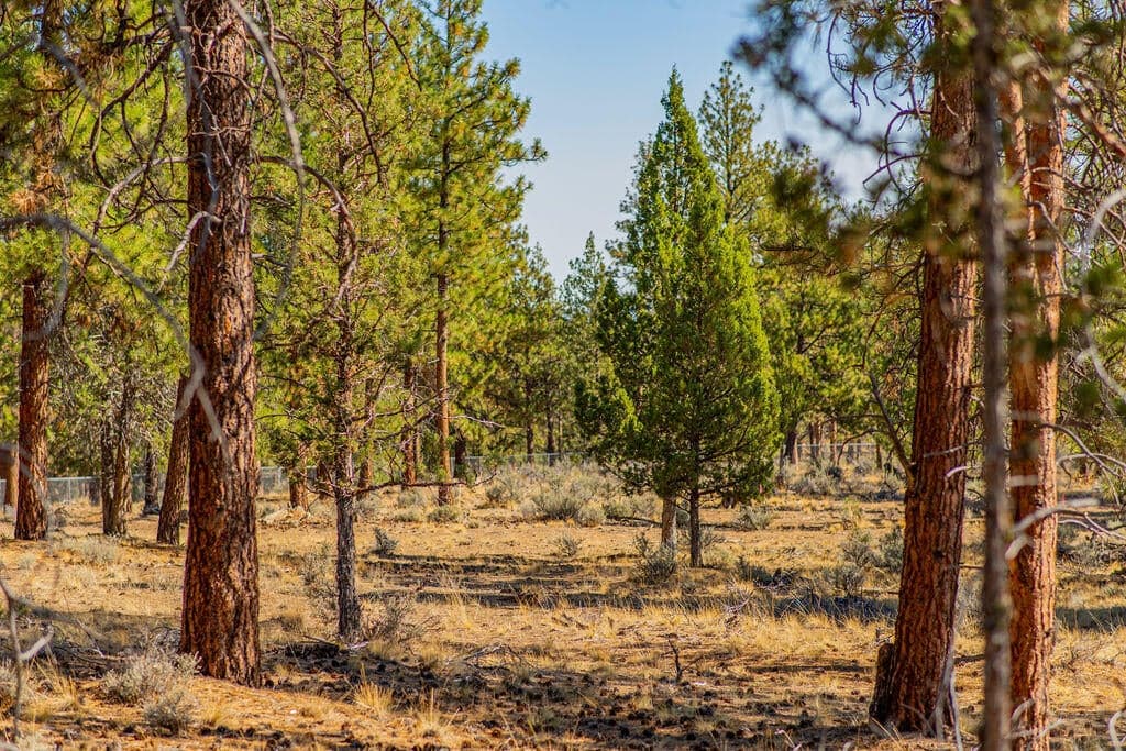 Photo of Lot 10, Skyline Ranch, Phase 2 5 of 22