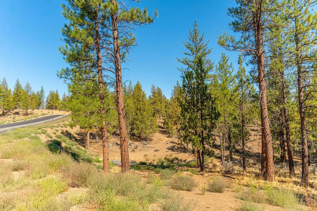 Photo of Lot 10, Skyline Ranch, Phase 2 8 of 22
