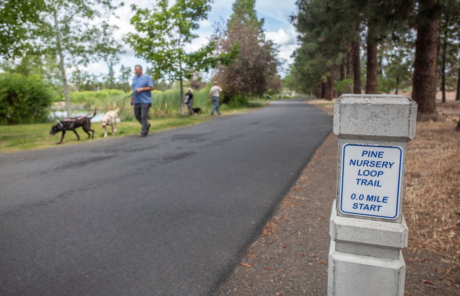 Walking Trails at Pine Nursery Park