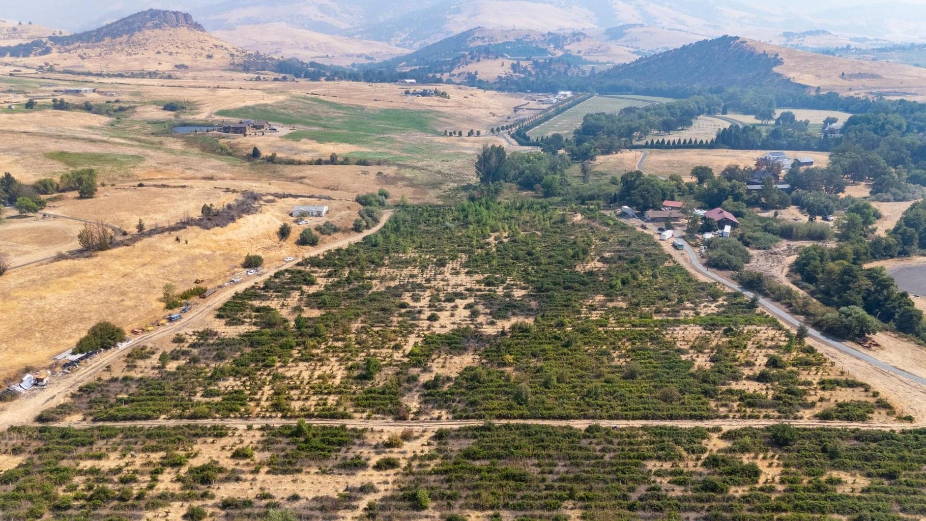 Photo of 707 Hills 3 of 13