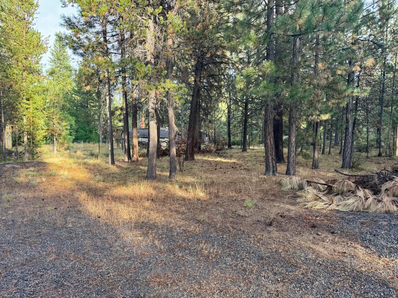 Photo of 52748 Golden Astor Road 24 of 30