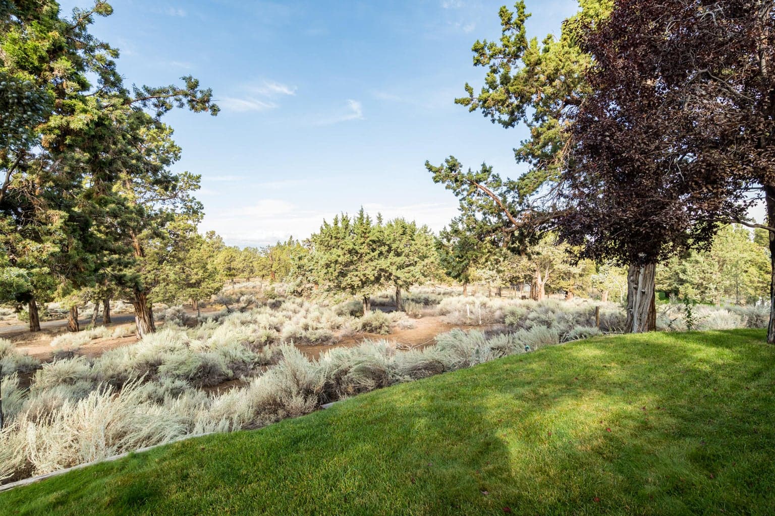 Photo of 64499 McGrath Road 29 of 41