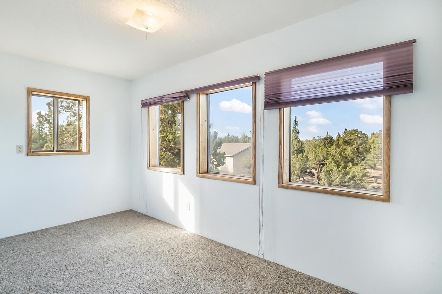 Photo of 64499 McGrath Road 36 of 41