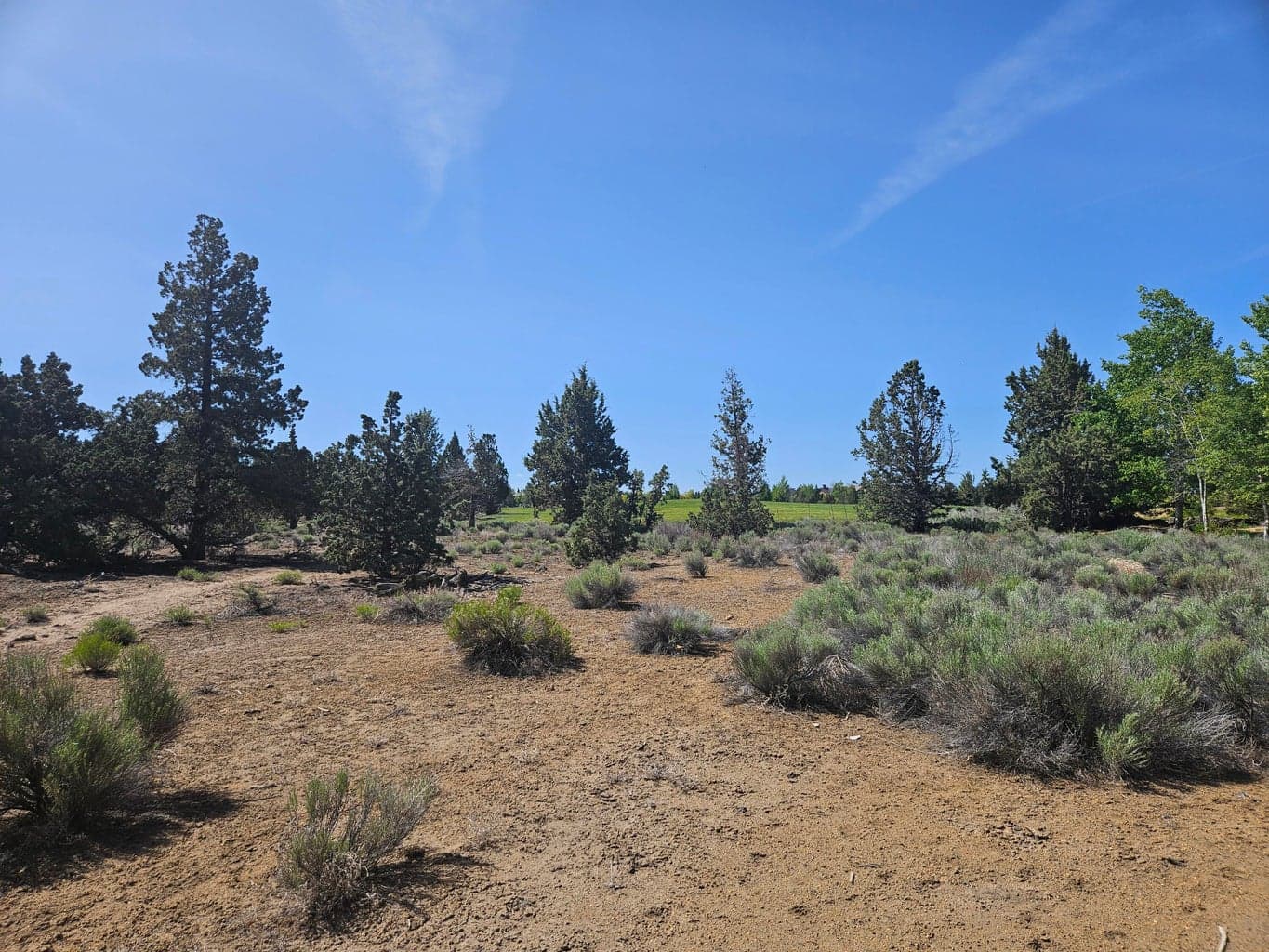 Lot 120 forward facing view from the street with view of Pronghorn Golf Club driving range.