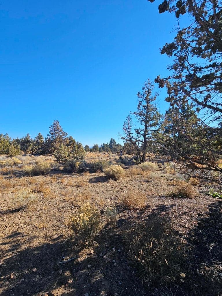 Lot 120 forward facing view from the street.