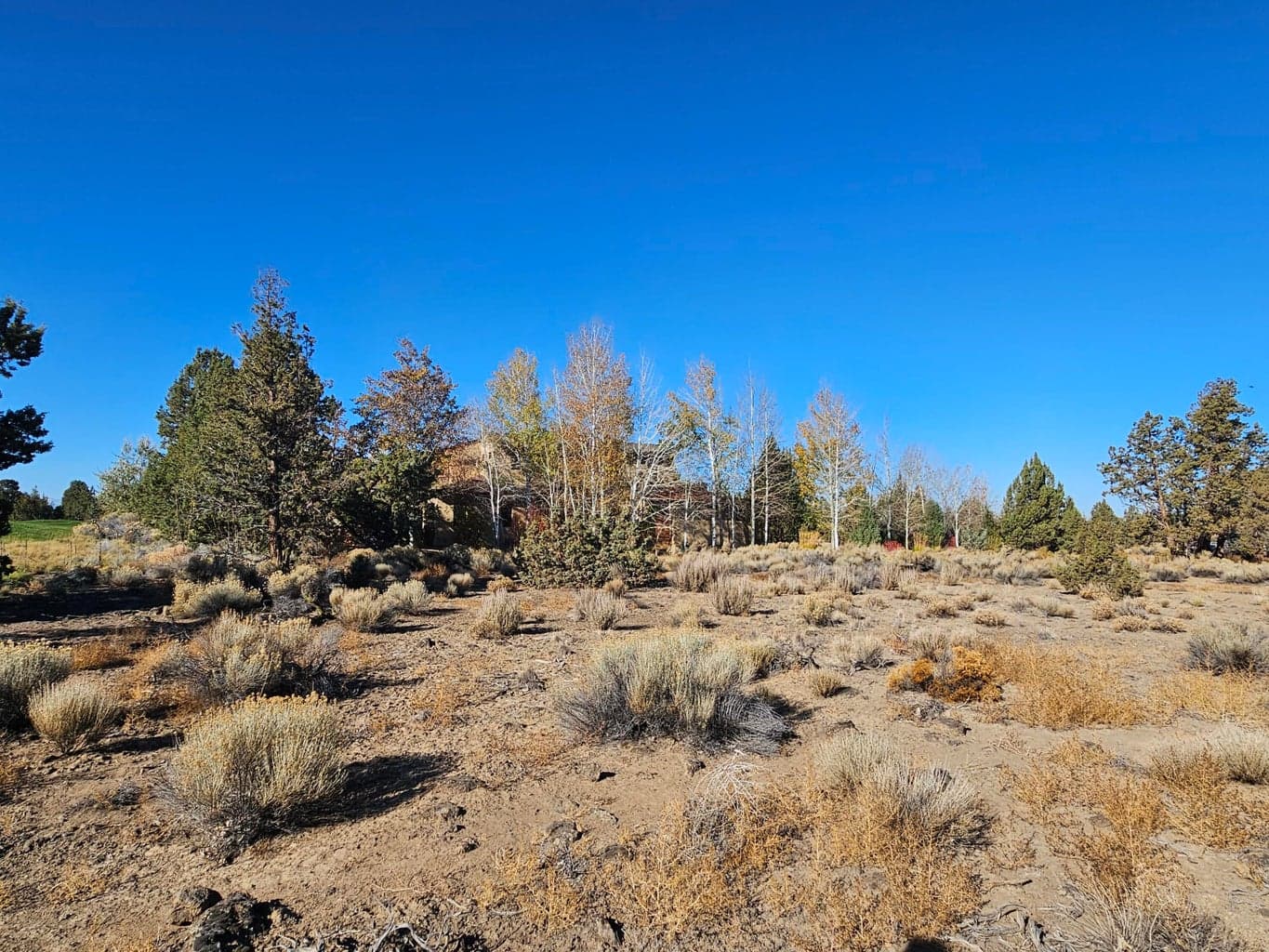 Lot 120 side view.