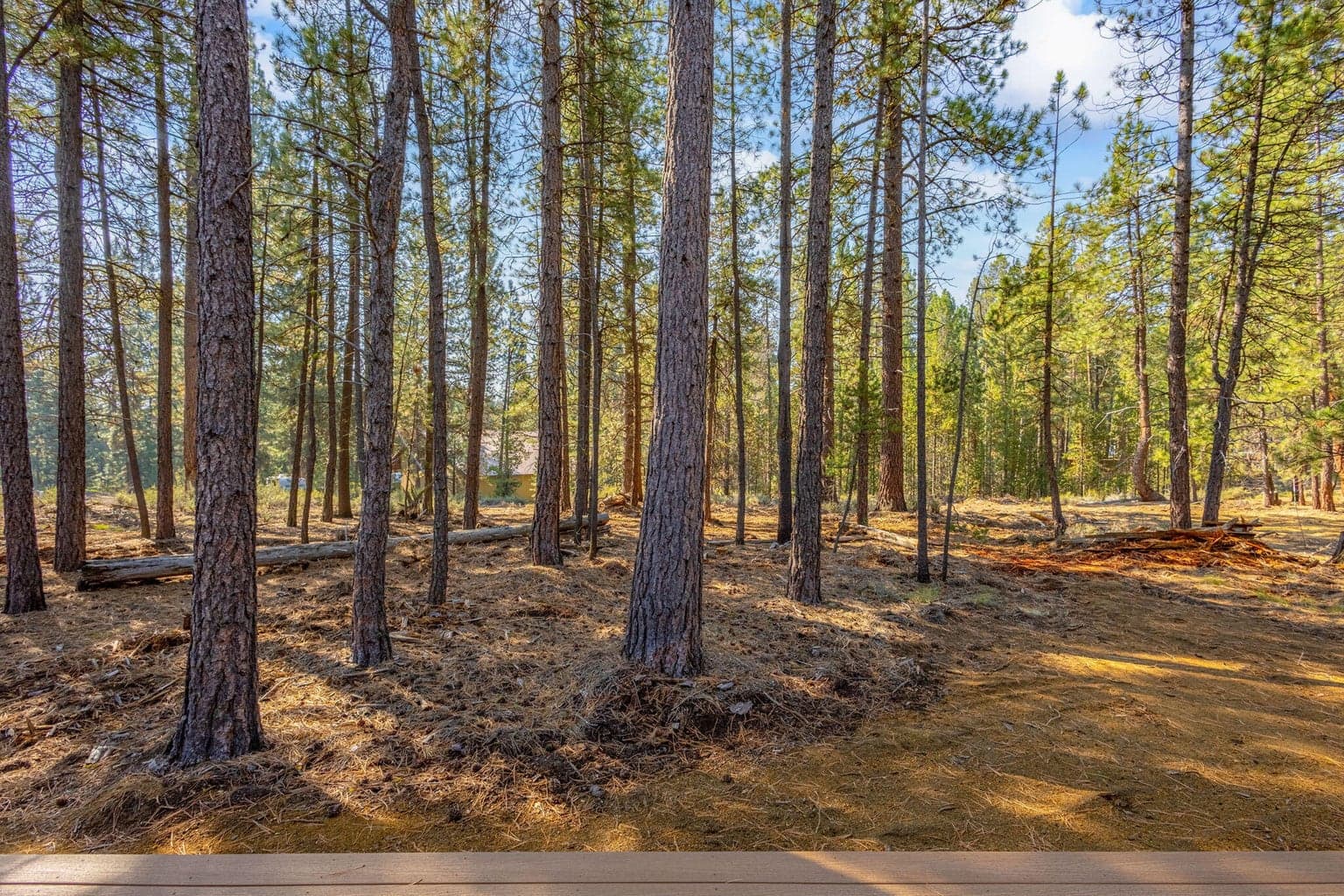 Photo of 15387 Bear Street 22 of 31