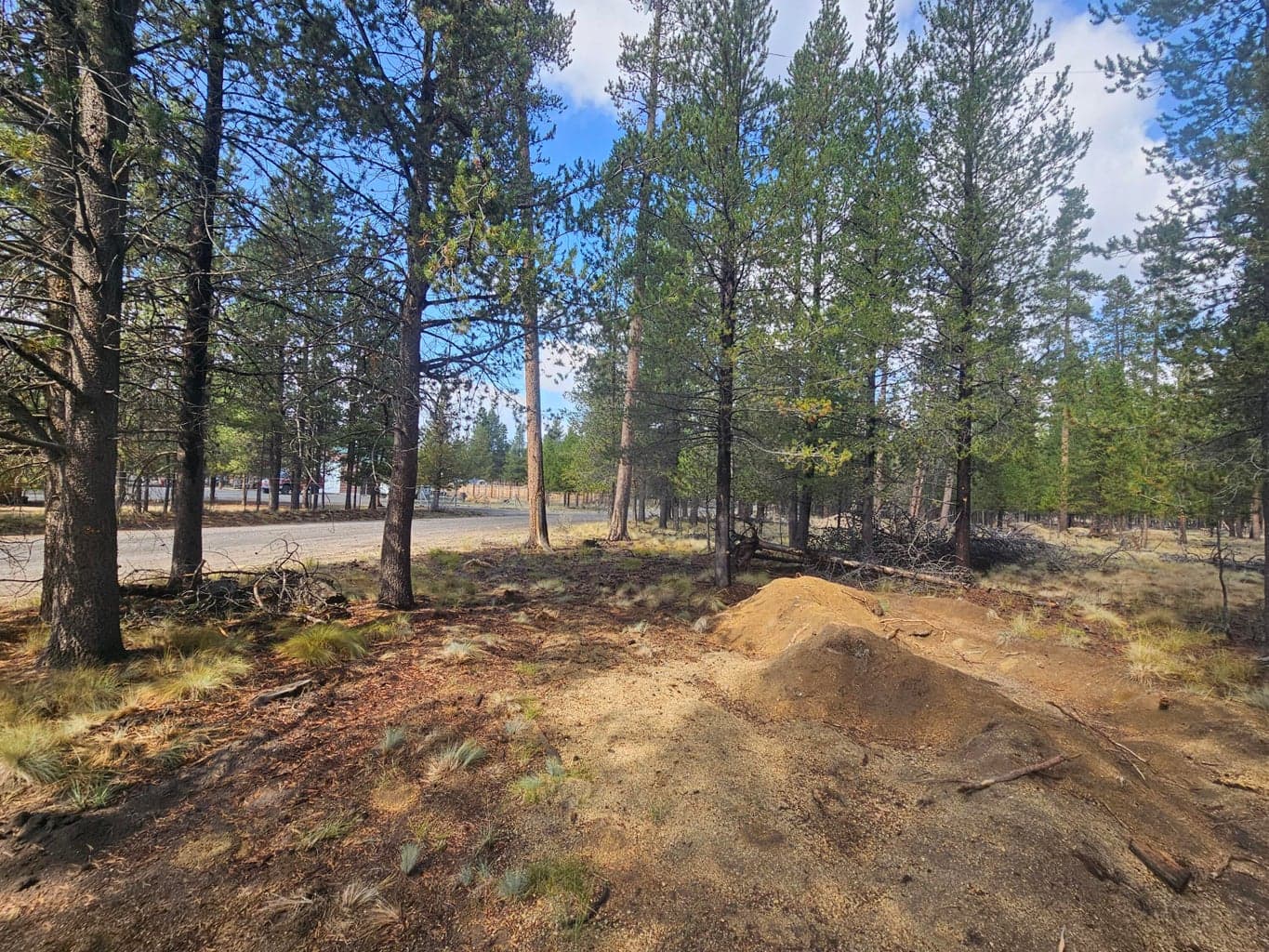 Photo of 5400 Beechwood 5 of 5