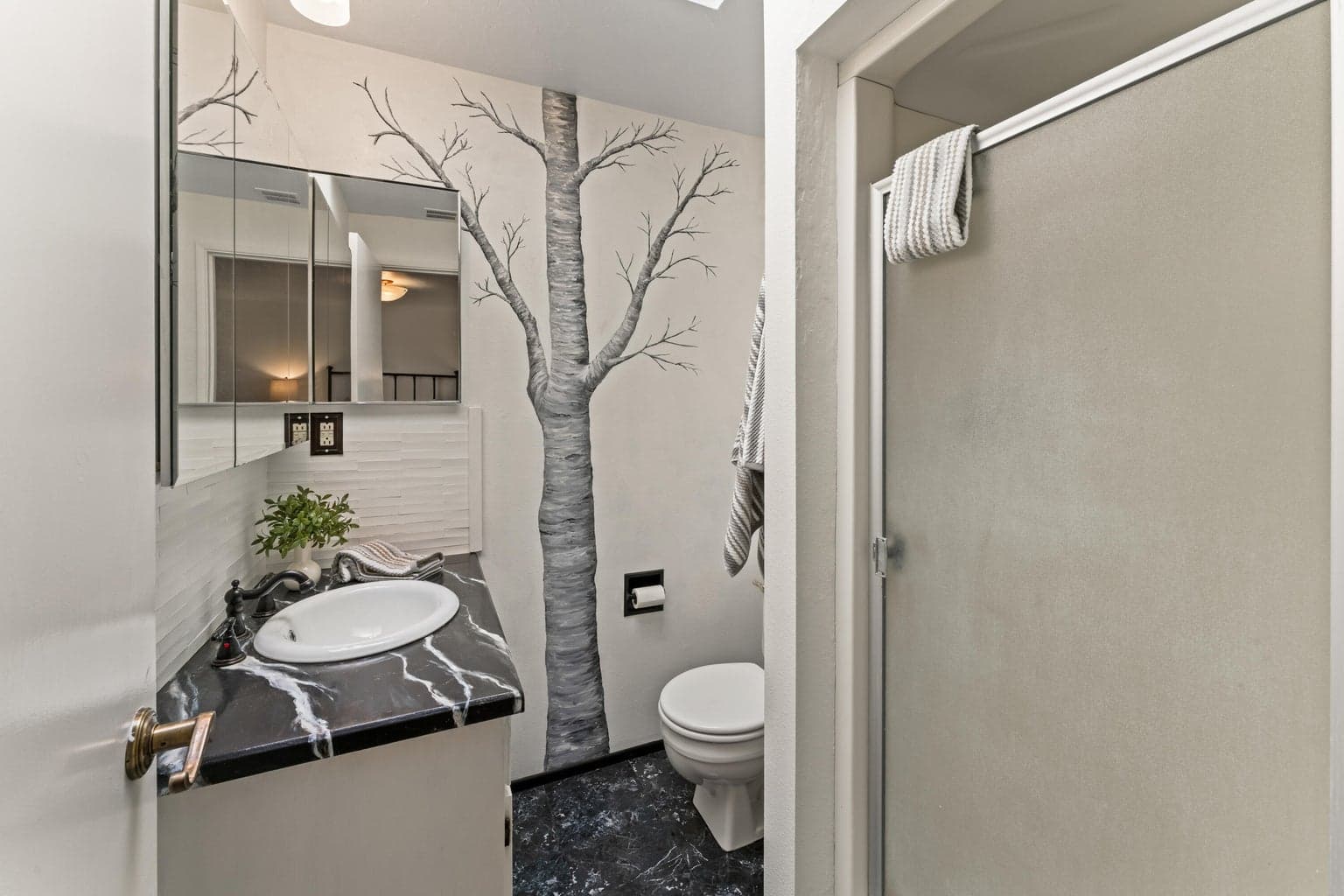 Primary Ensuite with Walk-In Closet