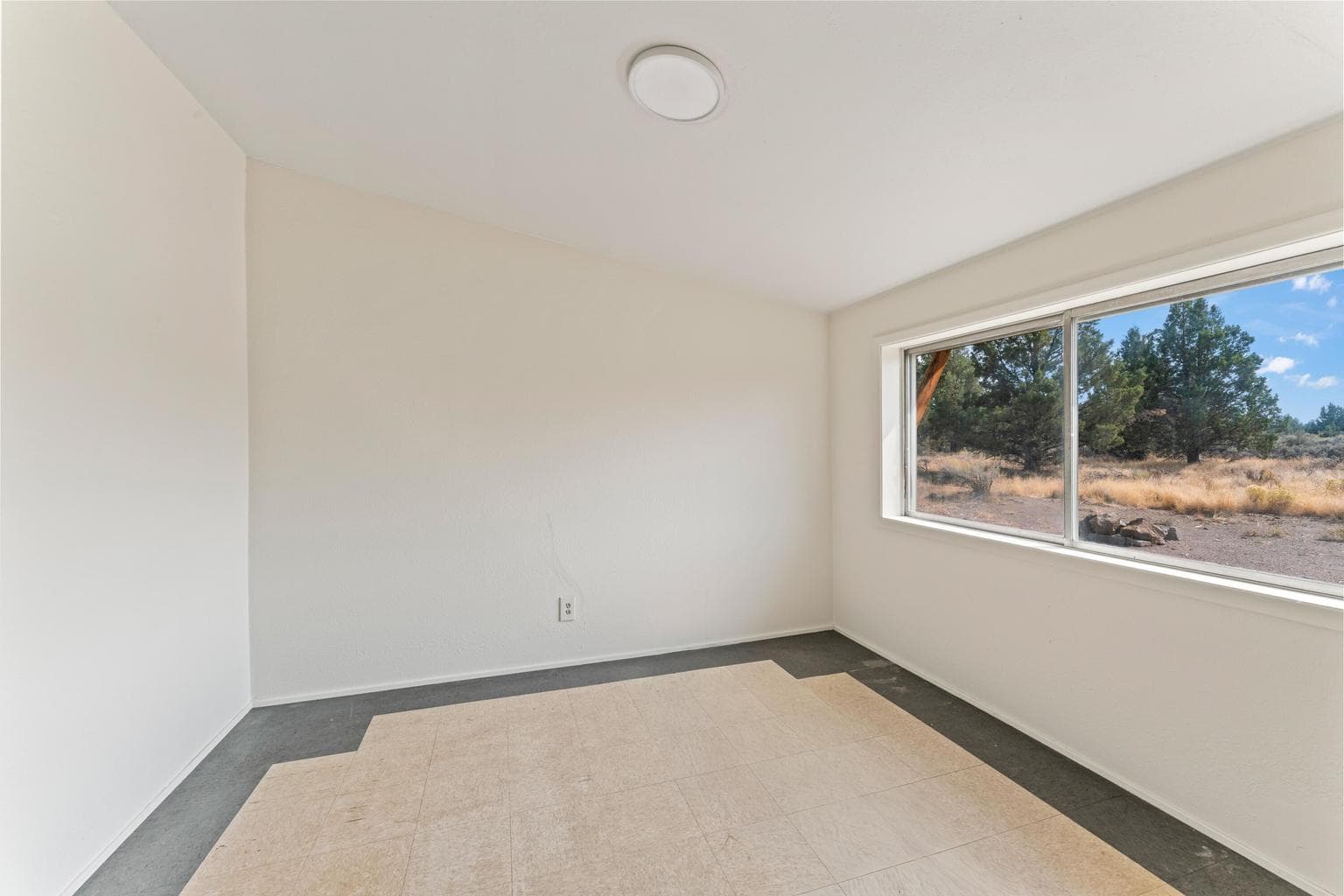 Bonus Area w/ Kitchenette & Full Bath