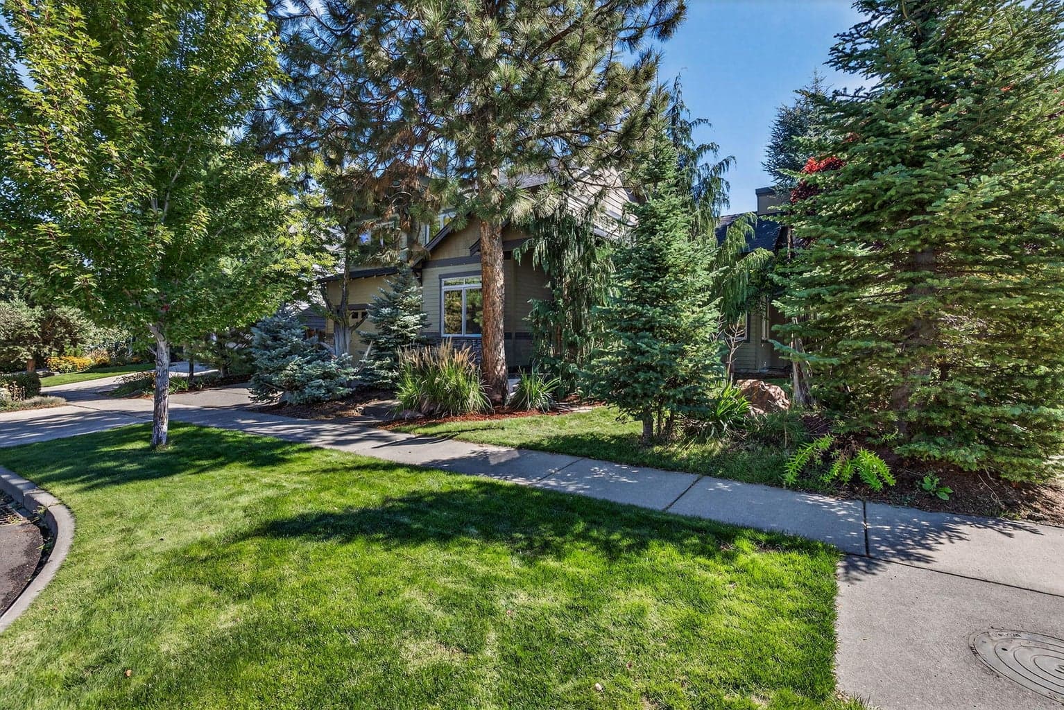 Photo of 19601 Hollygrape Street 6 of 39