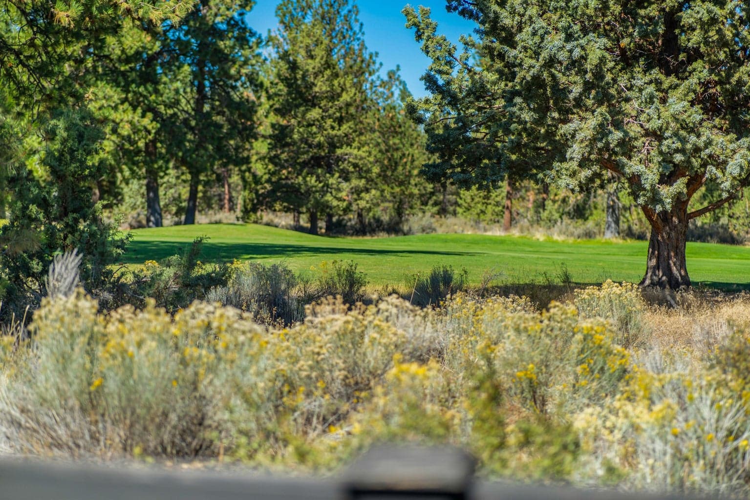 Backyard facing the Bend Golf Course