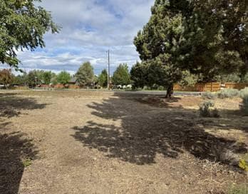 view from back side of the lot