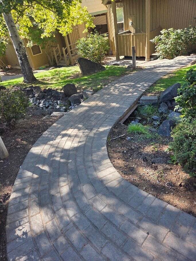 Photo of 4673 Marsh Hawk 4 of 30